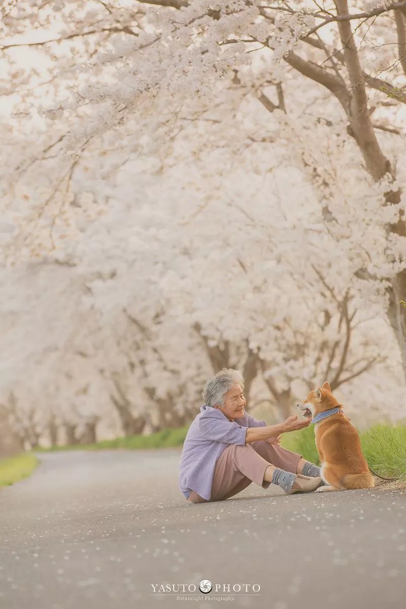 86 歲奶奶和柴犬共度餘生，一張圖片暖哭 34 萬網友，看完瞬間被治愈了… 未分類 第9張