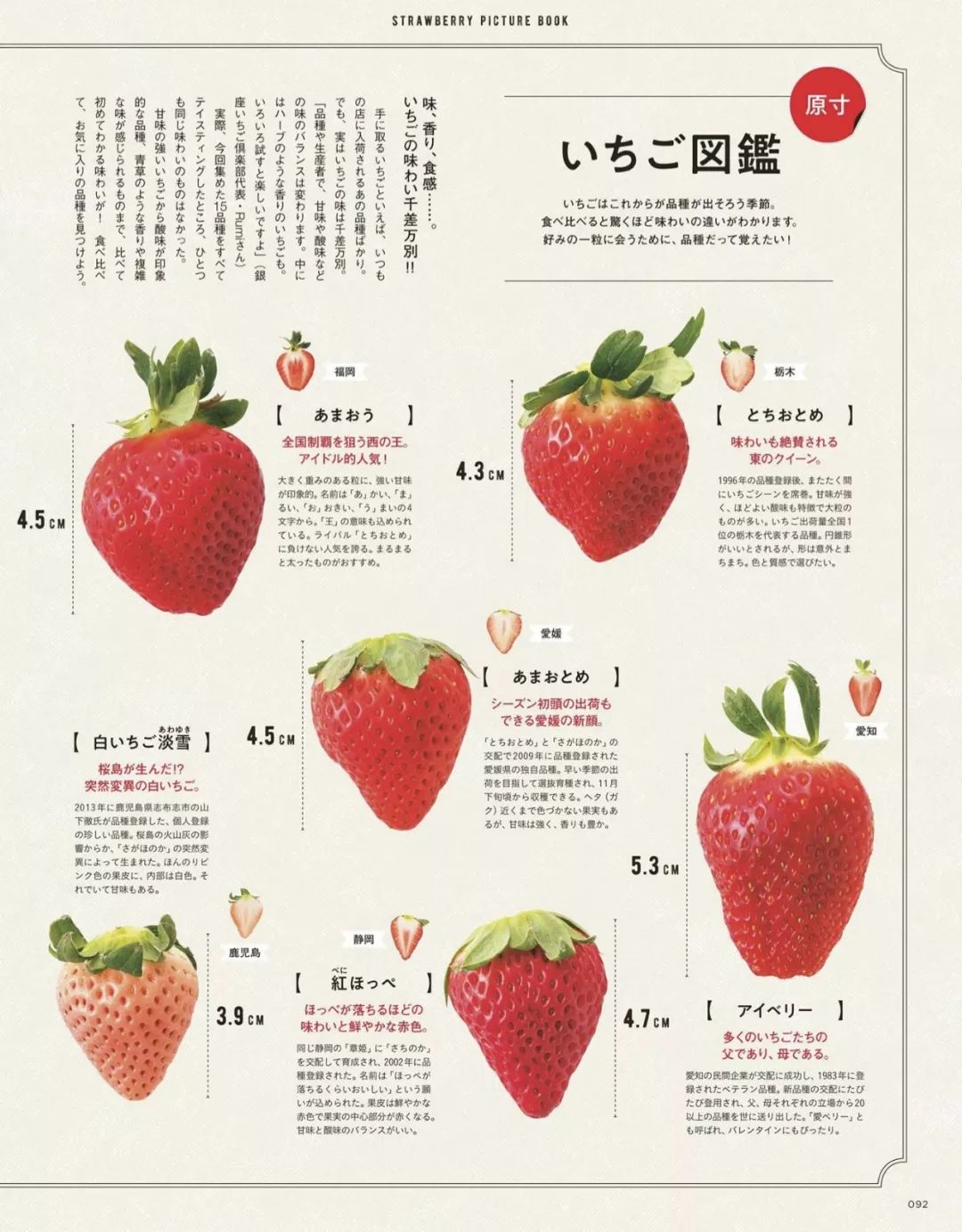 日本人對草莓的解讀 遠遠超出了很多人的認知範圍 太誘人 新鮮日本 微文庫