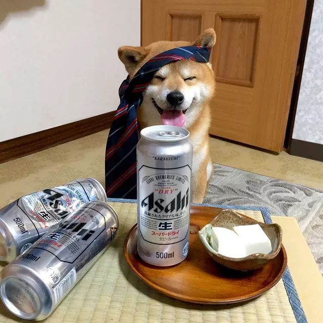 日本一柴犬因笑容治愈走紅網路！網友：承包了我2018年的頭像！ 萌寵 第22張