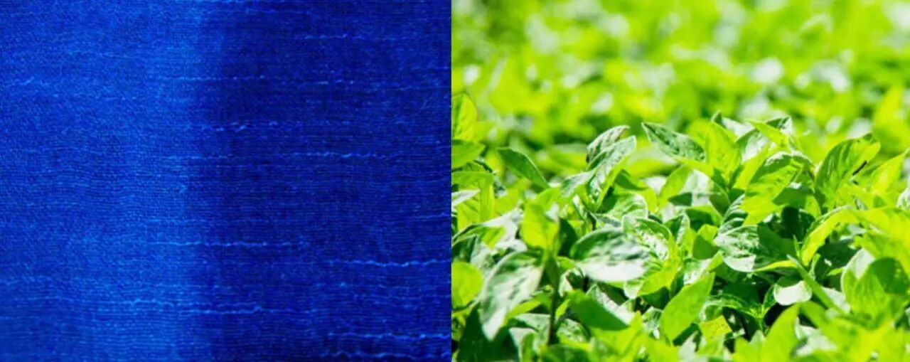 這才是世界上最美的藍色 日本人把 中國藍染 做到了極致 今日日本 微文庫