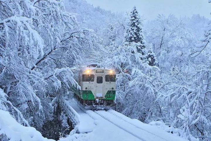 日本冬天最浪漫的絕色雪鄉，一下雪畫風就美翻了！ 旅遊 第3張