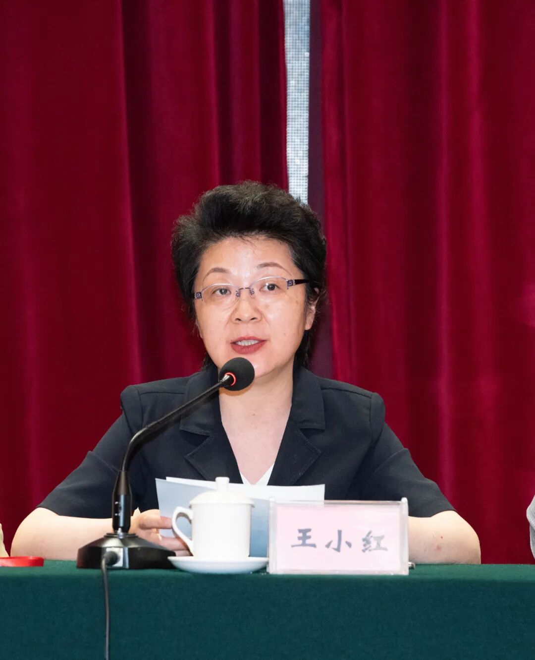 会上,王小红部长做了重要讲话.