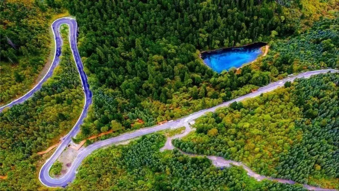 顶流福宝回阿坝阿坝文旅积极对接韩国市场