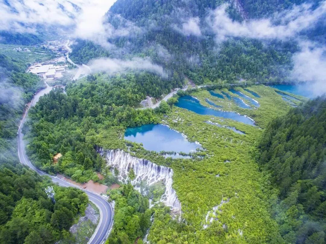 顶流福宝回阿坝阿坝文旅积极对接韩国市场