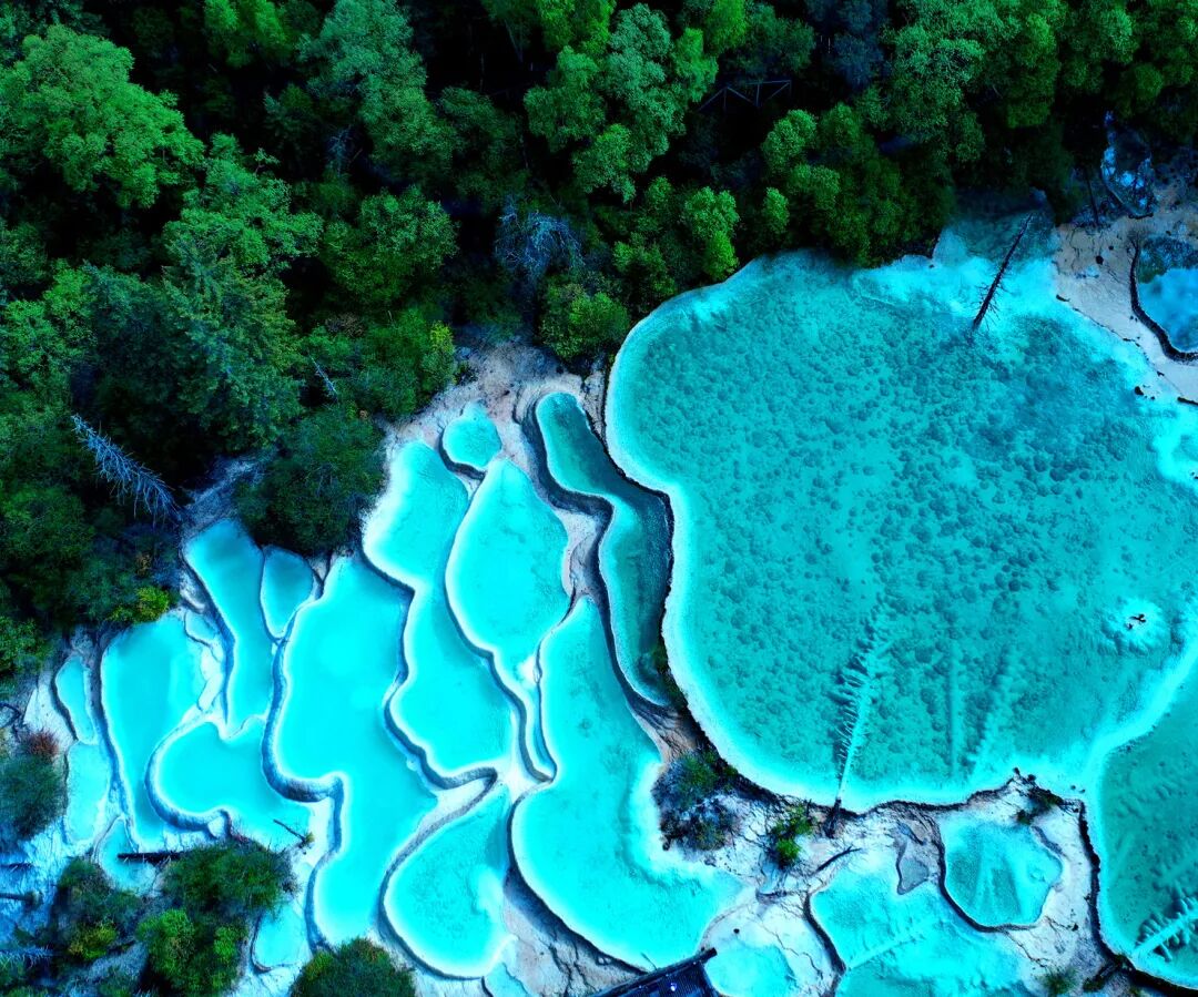 顶流福宝回阿坝阿坝文旅积极对接韩国市场