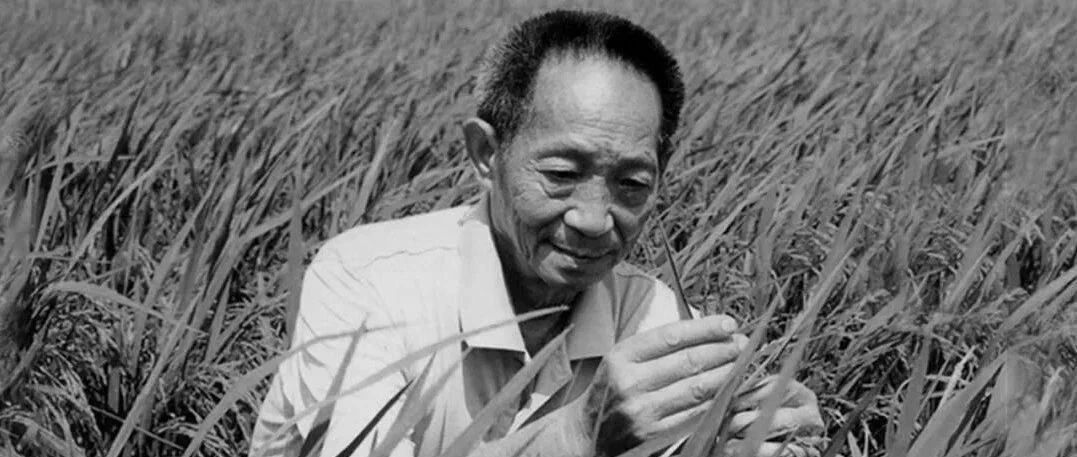 袁隆平“豪宅”曝光：一生奉献，却过得简朴纯粹