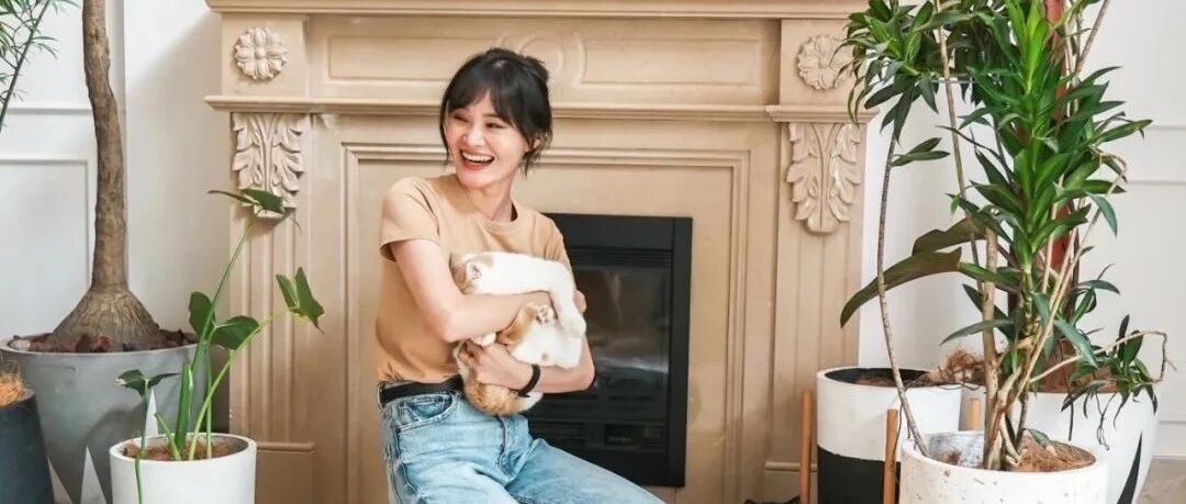 成都女孩独居四层别墅，每天工作四小时！一人两猫，过出14亿人的梦想生活