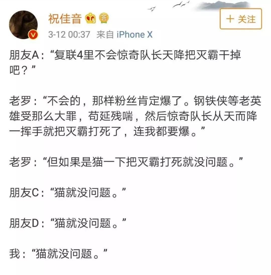 設計，讓貓的生活更美好。 寵物 第5張