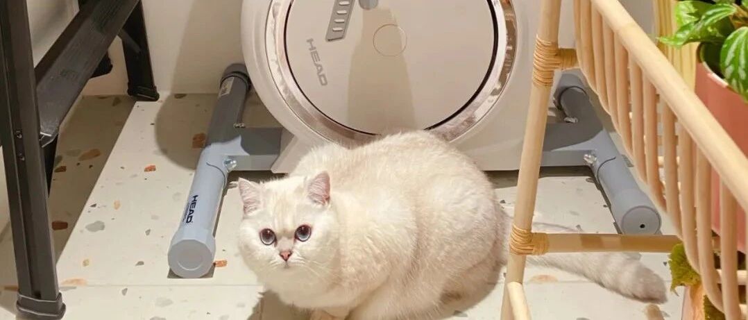 独居第13年：她买下59㎡老破小，打造成完美一人居