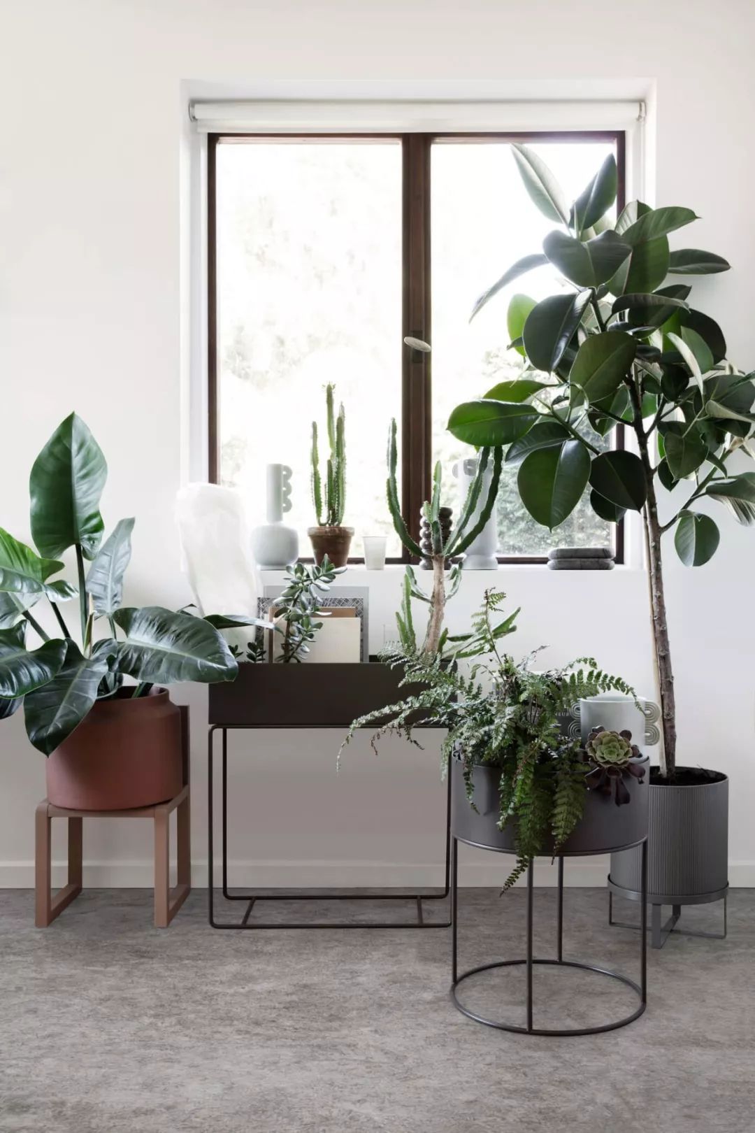 想要提升客廳品味，你需要一盆被抬高的綠植 家居 第10張
