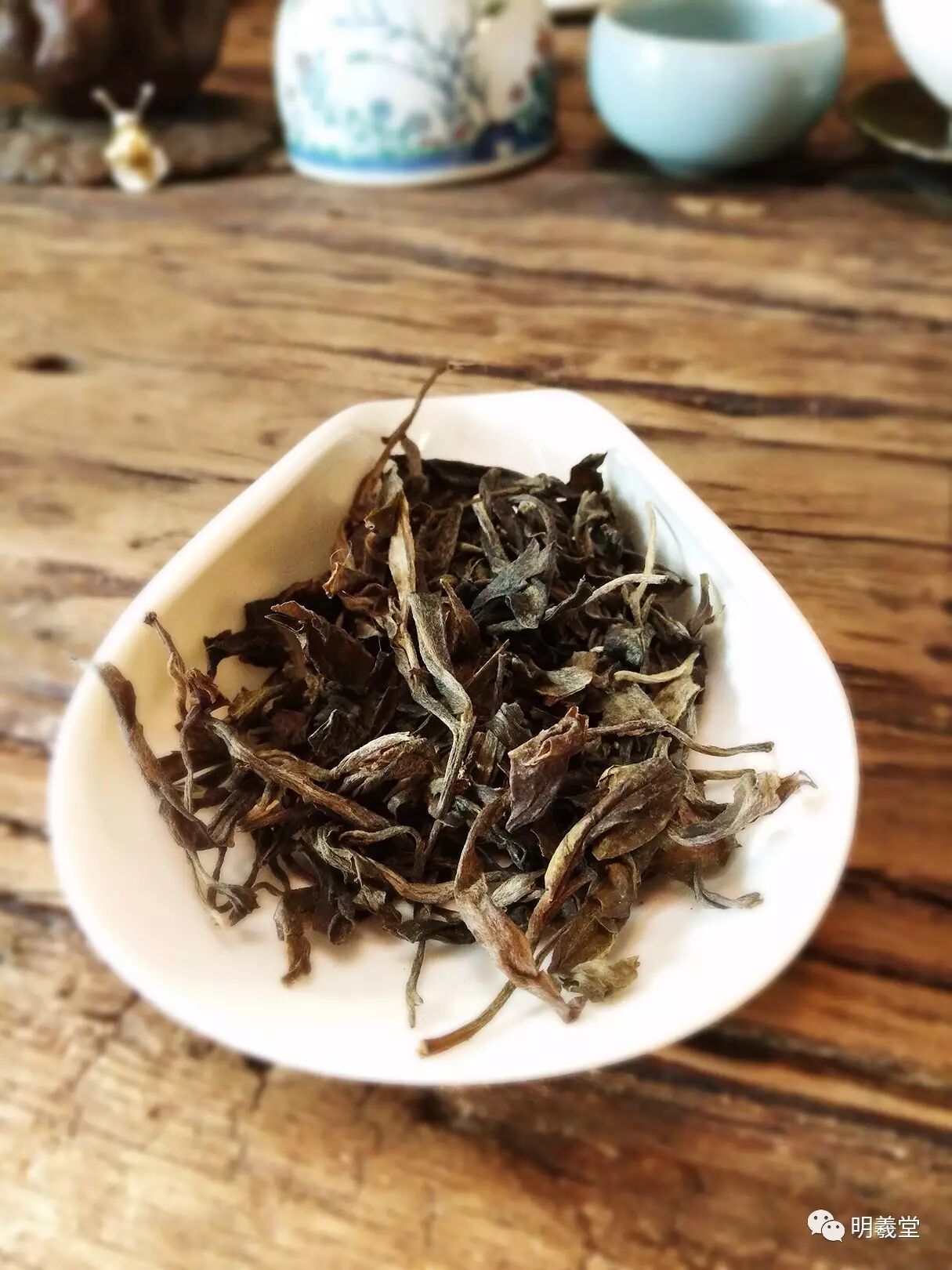 慢生活||泡好一杯茶【第六期】刮风寨(生普洱茶)