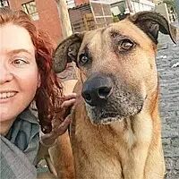 六个月的跨国恋，让你知道什么是真正的人狗情未了！