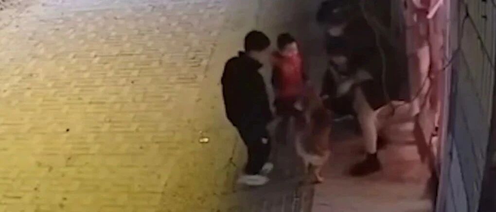 狗狗走失三天后瘸腿找回家，主人激动地丢下顾客冲出门外…