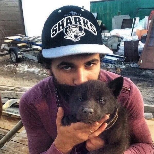 神经大条的铲屎官竟然把狼当狗带回家养...