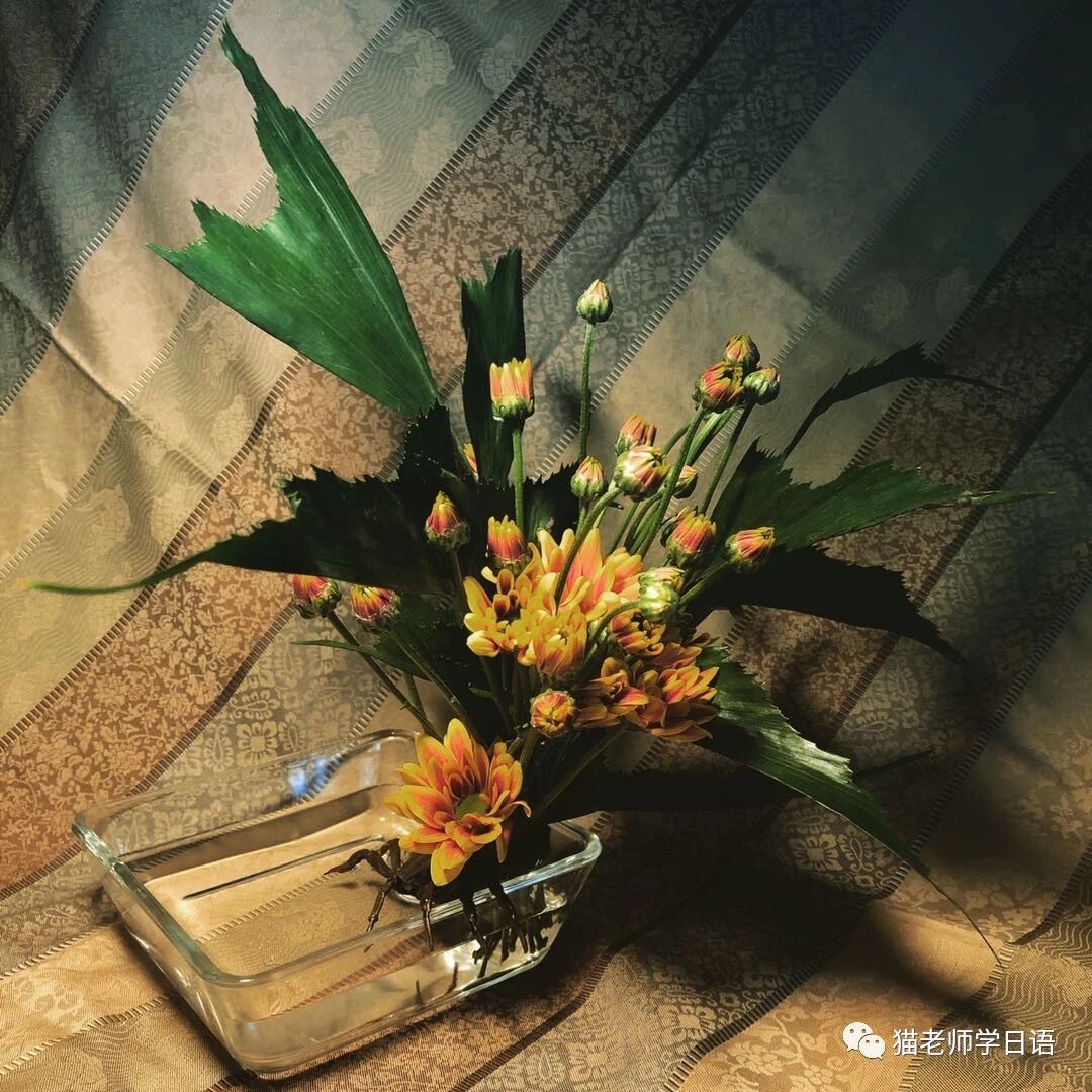 译 续 堤中纳言物语 猫老师学日语 微信公众号文章阅读 Wemp