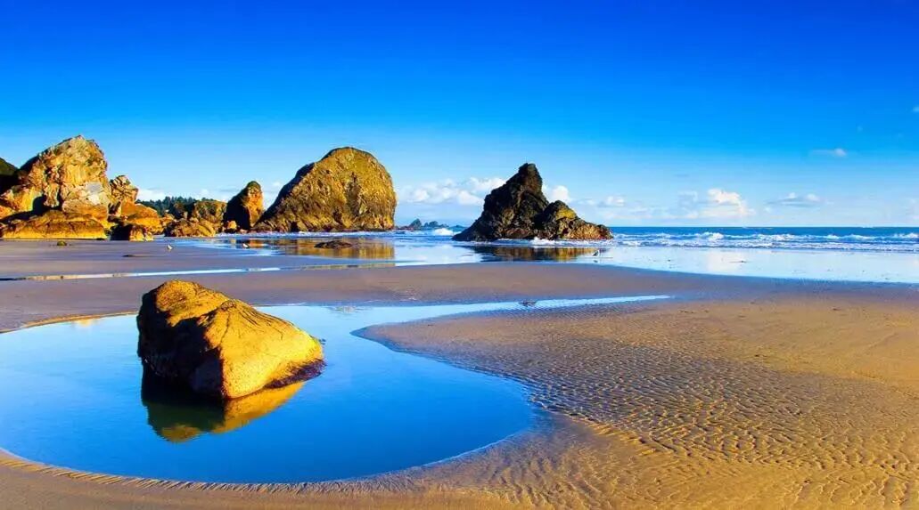 640?wx_fmt=jpeg&tp=webp&wxfrom=5&wx_lazy=1&wx_co=1