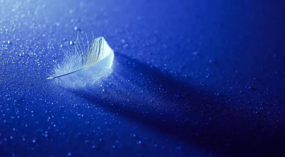 640?wx_fmt=jpeg&tp=webp&wxfrom=5&wx_lazy=1&wx_co=1