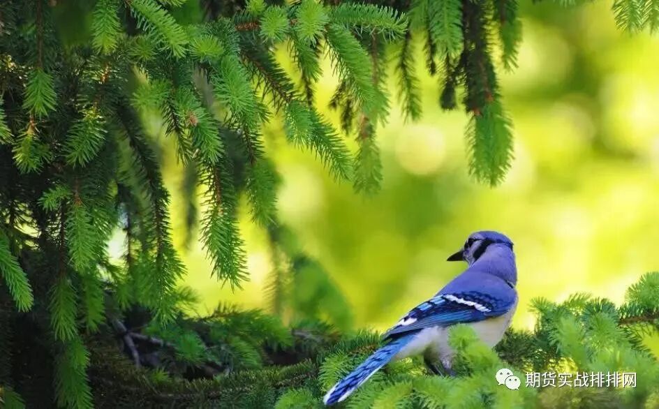 640?wx_fmt=jpeg&tp=webp&wxfrom=5&wx_lazy=1&wx_co=1