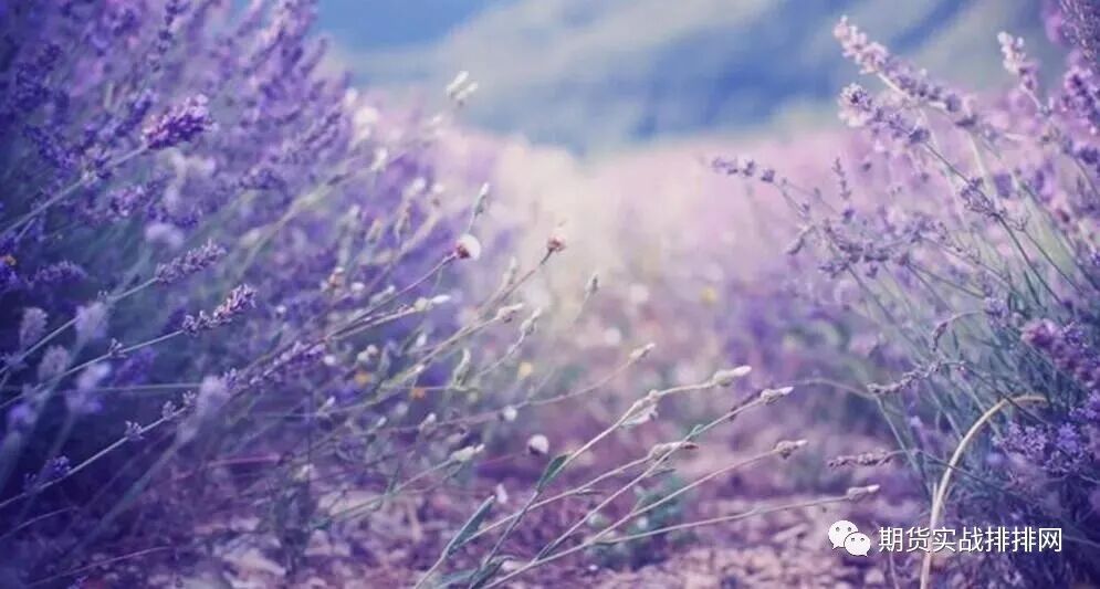 640?wx_fmt=jpeg&tp=webp&wxfrom=5&wx_lazy=1&wx_co=1