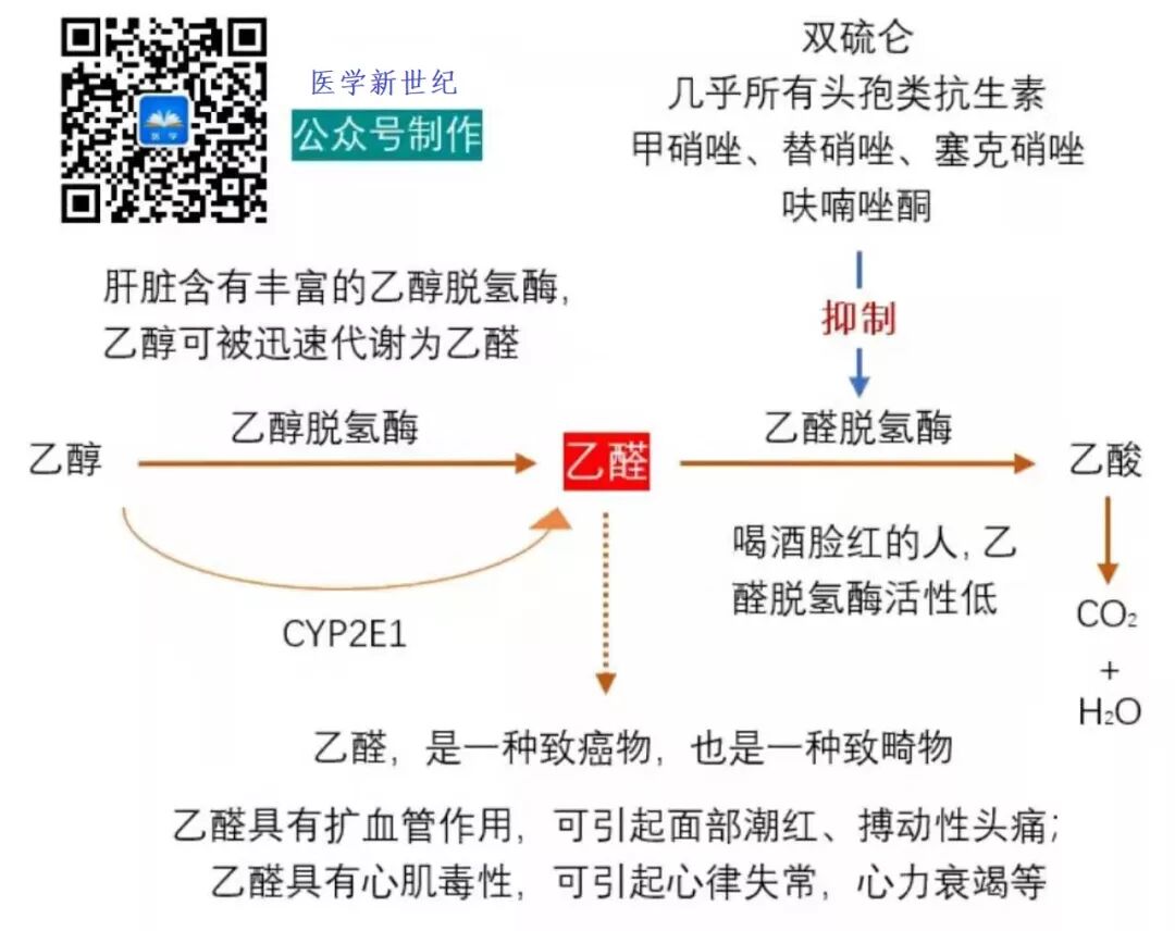使用头孢多久可以喝酒，给你一个最全面的解释。-春雨医生