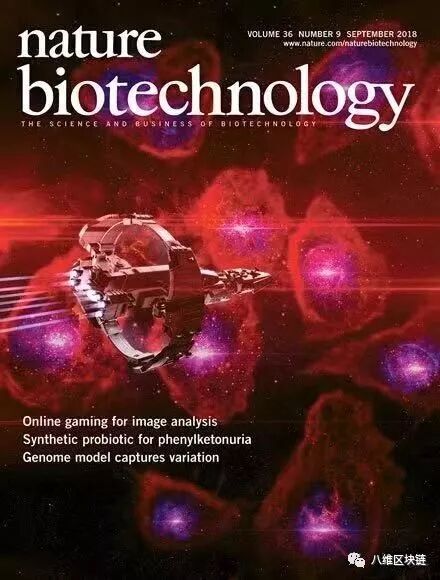 迷人的“第二世界”：区块链游戏狂想曲