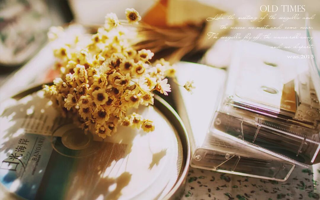 感谢时间，让我懂得