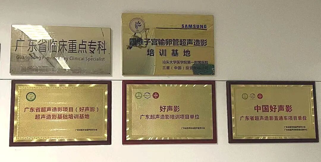 什么是超声容积探头医疗人工智能开启女性智能盆底超声检查新纪元_https://www.jmylbn.com_新闻资讯_第3张