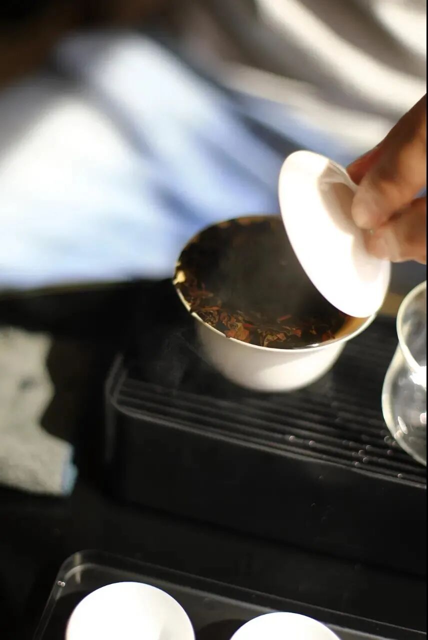 岩茶到底要不要醒茶呢？来和学委一起学泡茶！