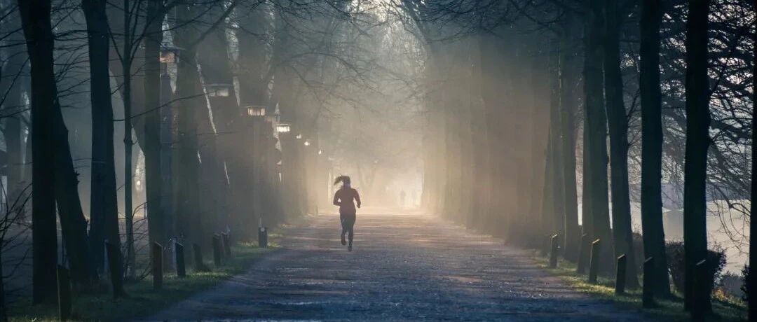 坚持早起，新的一年你会更优秀