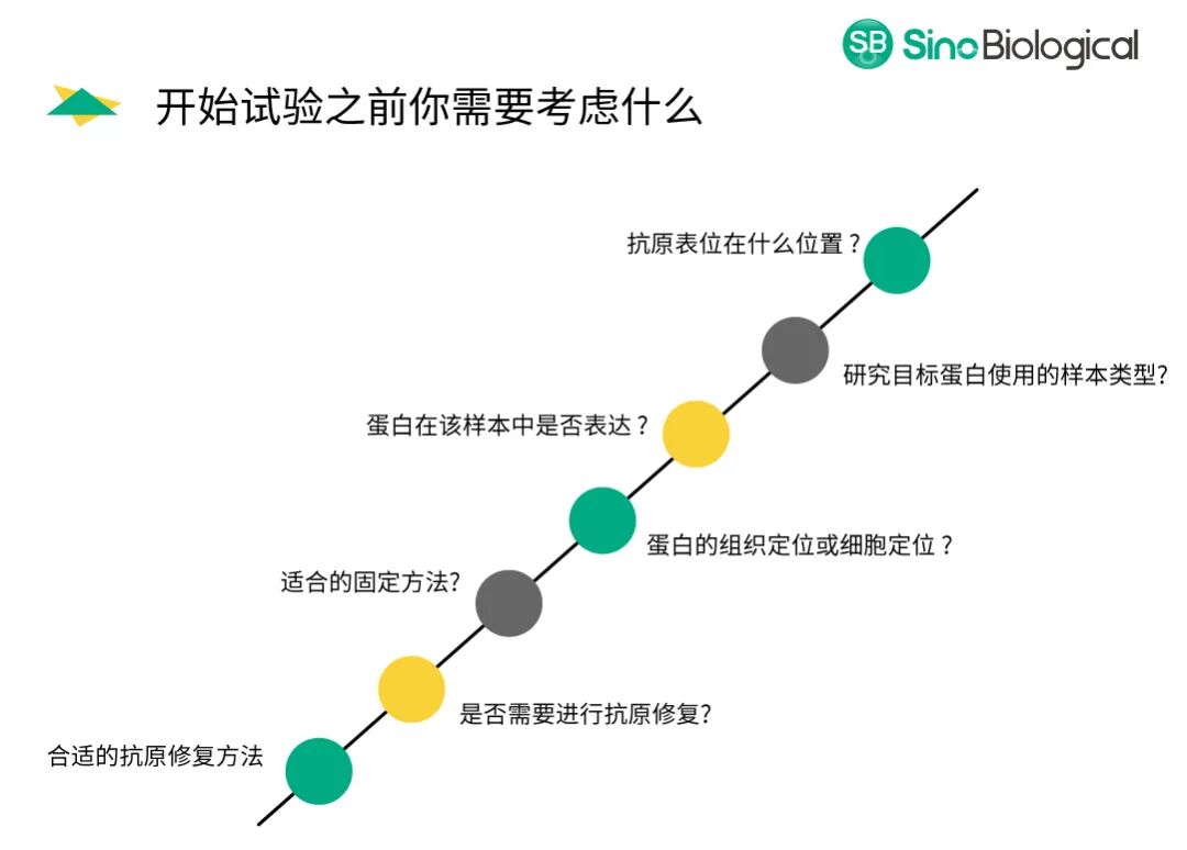 组织块大怎么包埋仅需12步，助你做出完美免疫组化IHC片子_https://www.jmylbn.com_新闻资讯_第5张