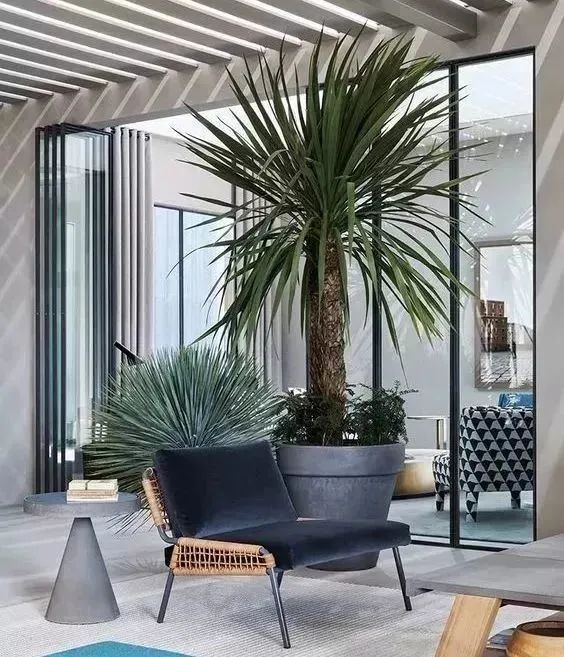 客廳陽(yáng)臺(tái)裝修效果圖大全2013圖片小戶(hù)型_客廳陽(yáng)臺(tái)裝修效果圖_客廳陽(yáng)臺(tái)榻榻米裝修效果圖