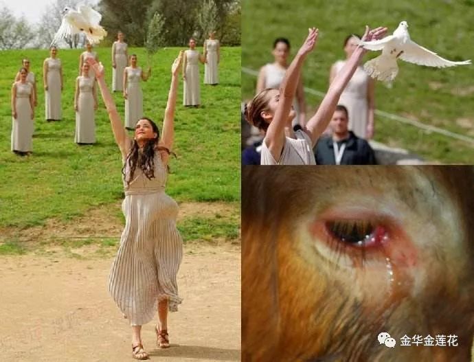 有人听说放生什么动物就不能再吃，皆不敢放生，应如何做才正确？