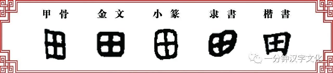 双法字理 朿字家族 棘 一分钟汉字文化 微信公众号文章阅读 Wemp
