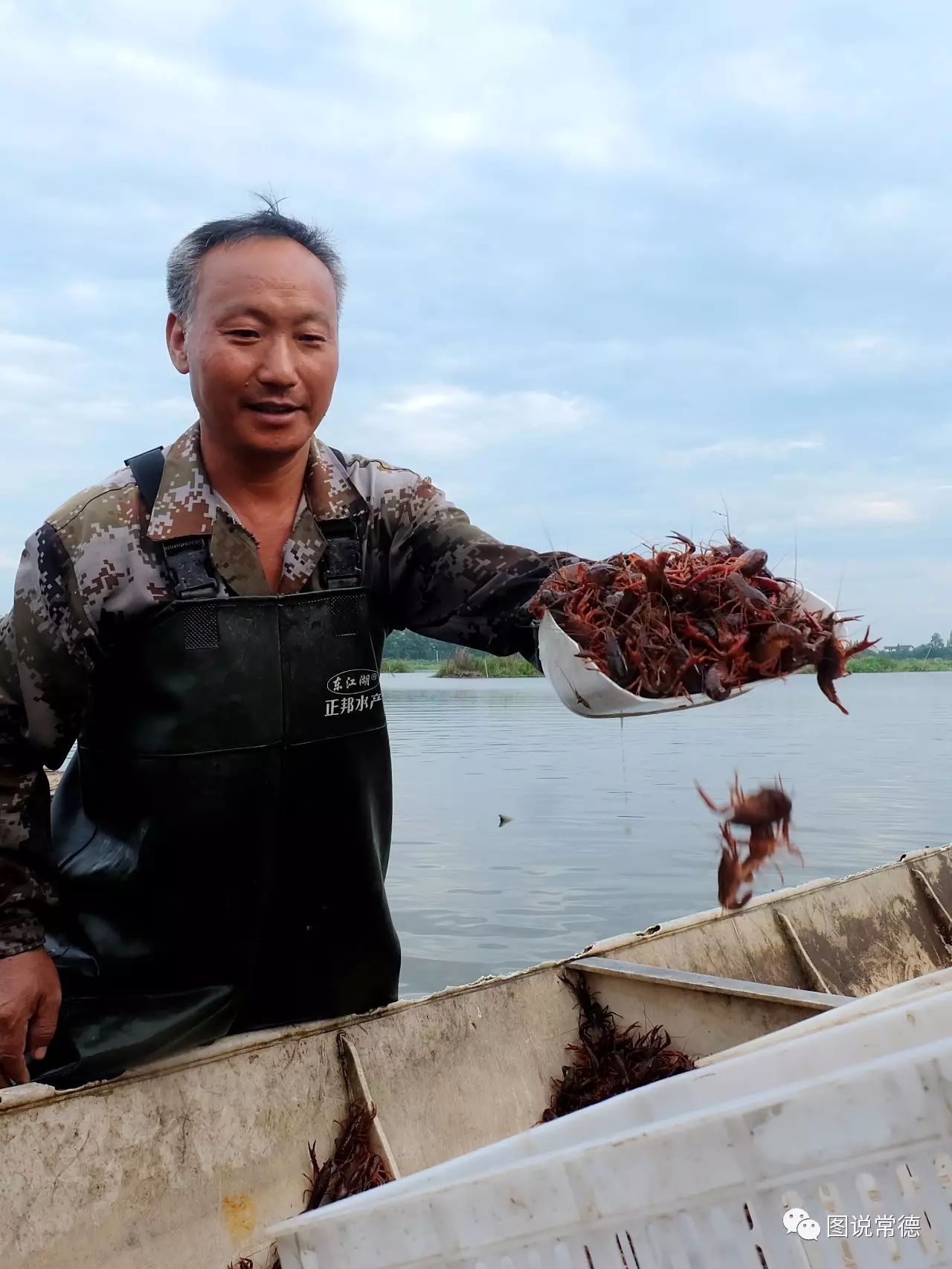 【深度】韩公渡上捕虾人——爱吃龙虾的人看得目瞪口呆