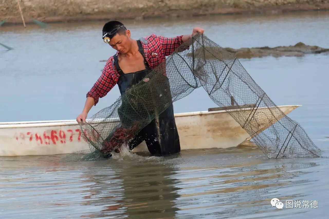 【深度】韩公渡上捕虾人——爱吃龙虾的人看得目瞪口呆