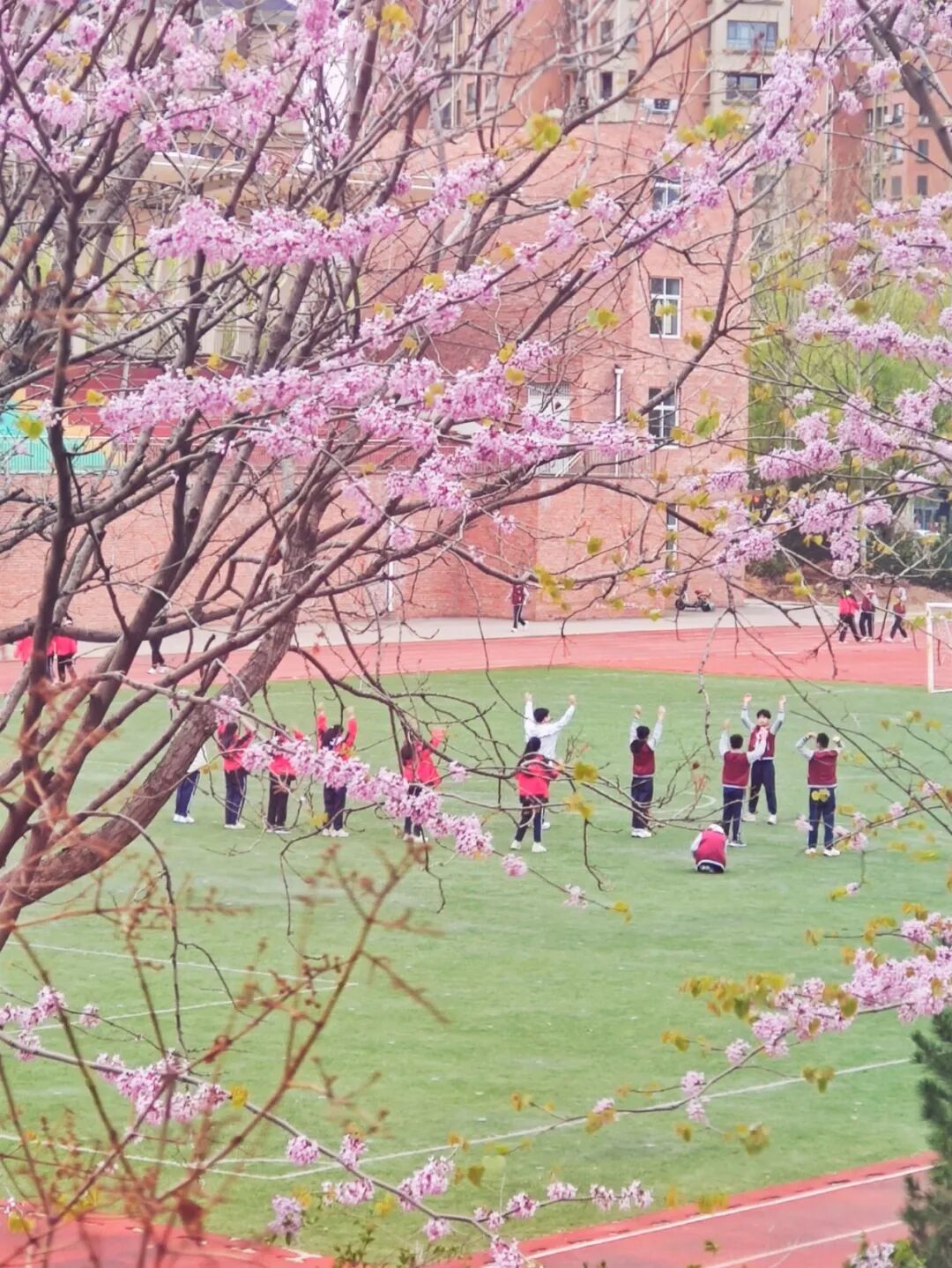 临朐县弥水学校▲昌乐县新城中学▲昌乐县齐都实验学校▲山东省仓乐