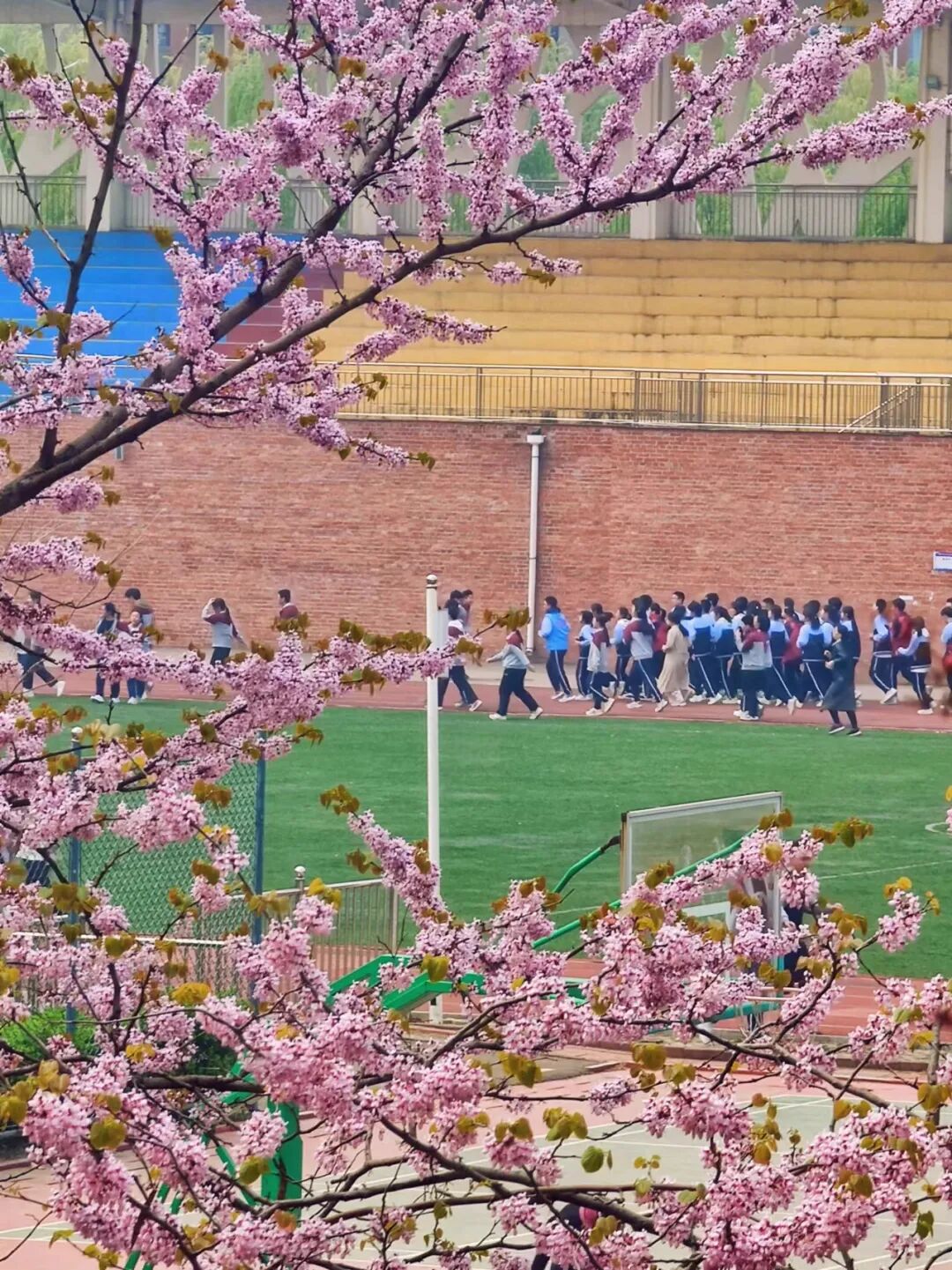 临朐县弥水学校▲昌乐县新城中学▲昌乐县齐都实验学校▲山东省仓乐