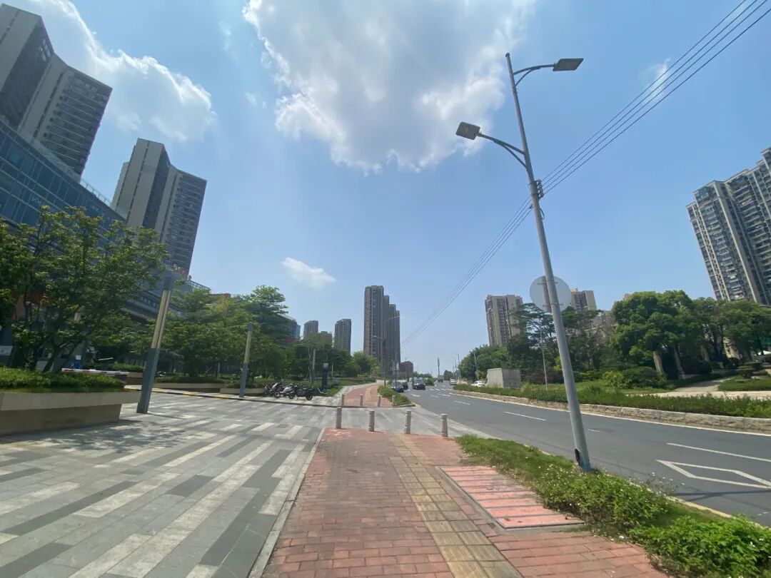 金融城、鱼珠、广氮奥体、牛奶厂，这四个板块哪个未来涨幅更大？