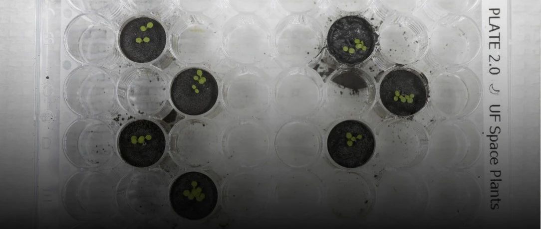 迄今最全的人类细胞图谱公布；首次用月壤种出植物｜环球科学要闻