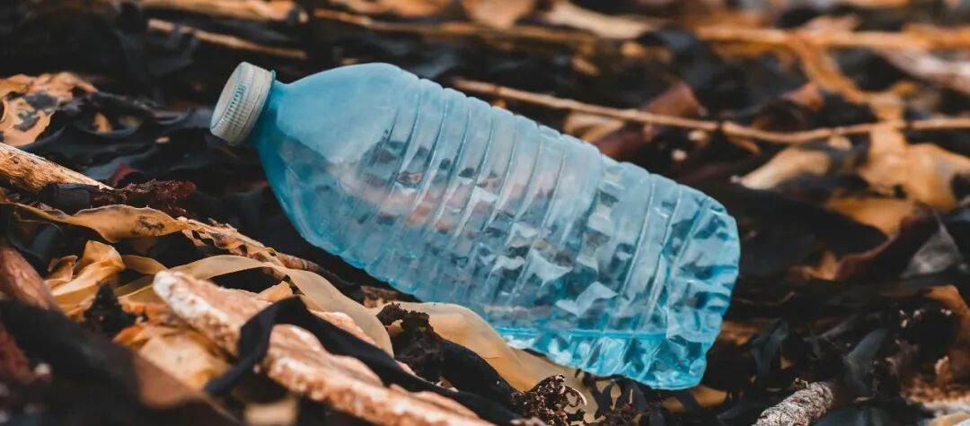 blue plastic bottle on brown dried leaves