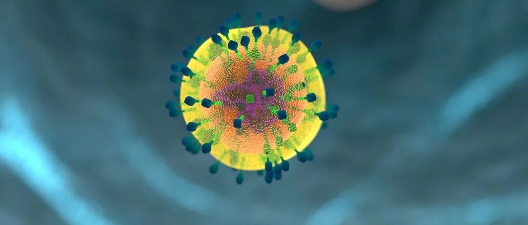 无需药物治疗，HIV可能自愈？《自然》揭示罕见病例背后的机制 | 环球科学要闻