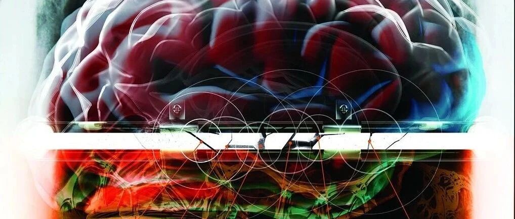 堵上我们的“脑洞”，竟能逆转衰老？