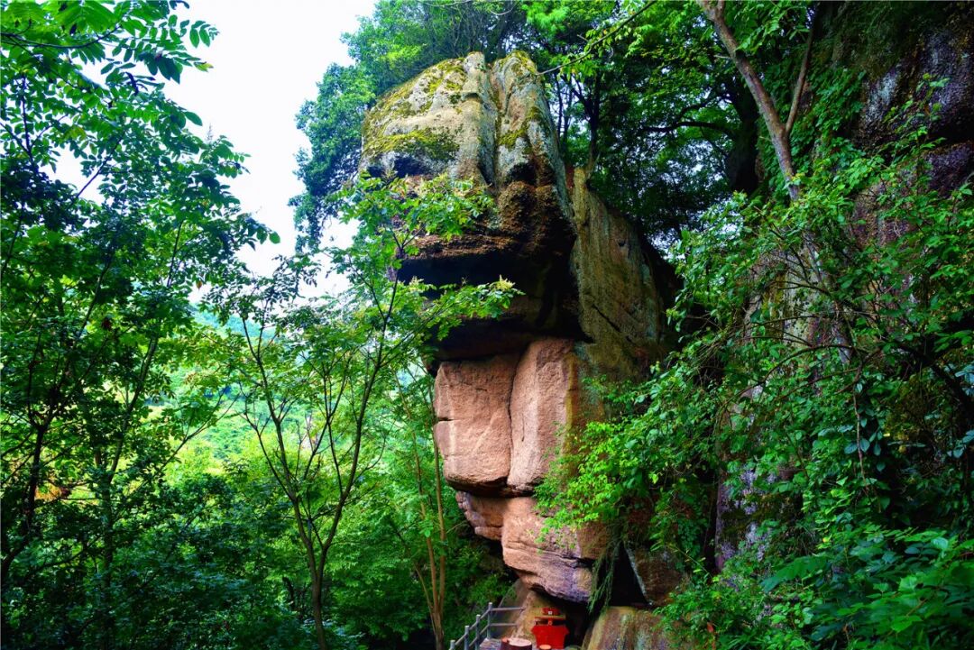 今年夏天@你， 一份全新的汉江源避暑指南请查收！插图16