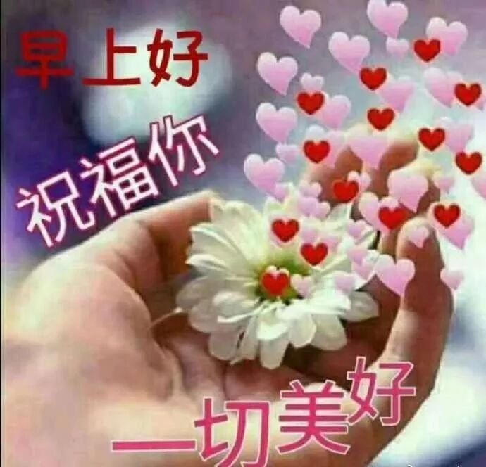 9月22日最美丽早晨表情祝福图片早上好问候图片表情 早安晚安问候祝福语 微信公众号文章阅读 Wemp