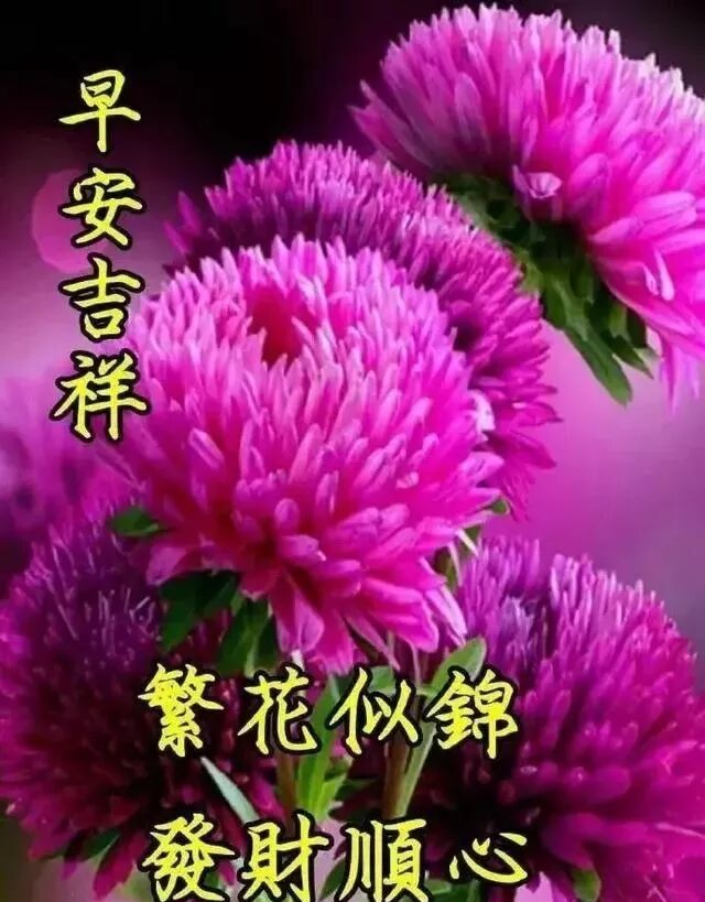 8月22日每天一祝 早安正能量励志语录 微信公众号文章阅读 Wemp