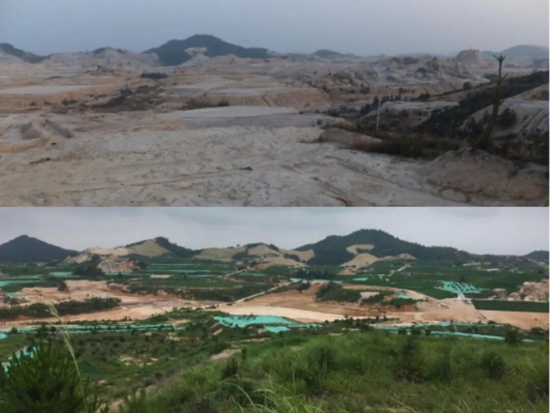 全国典型！寻乌一综合治理与生态修复项目被评为山水工程首批优秀典型案例 | 寻乌县信息公开