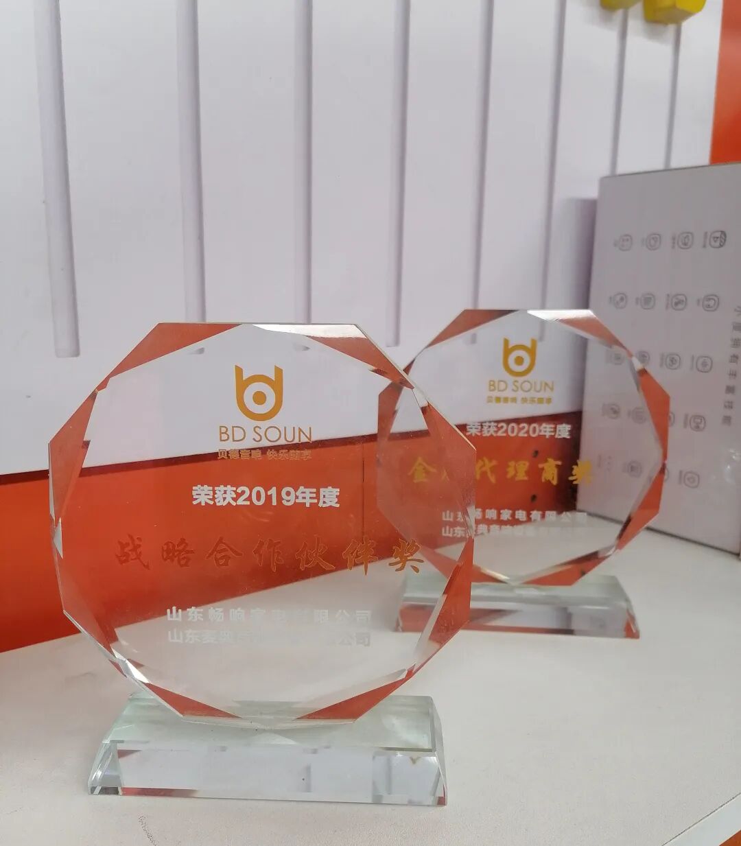 金田阳光人物志第五十三期丨“乐之声音响”张绪环：品牌凝聚力量，服务成就未来