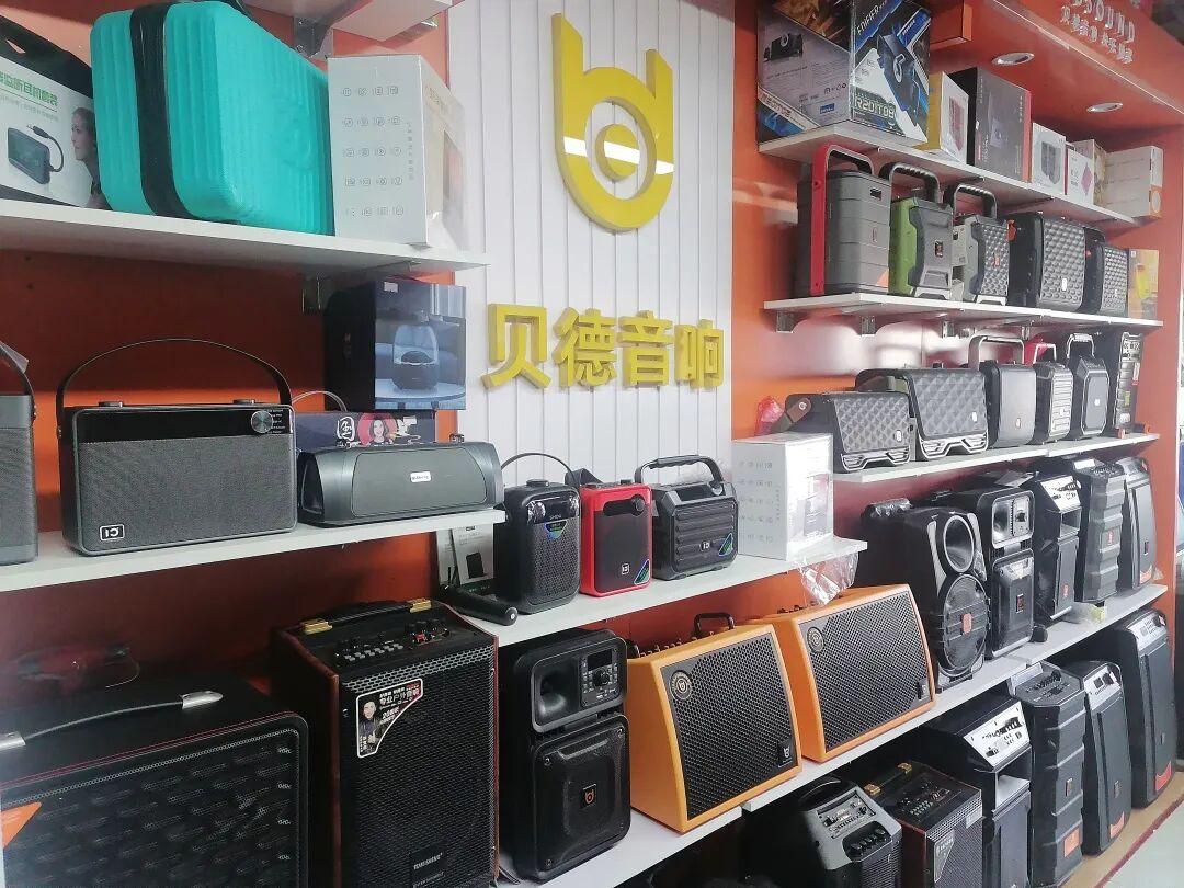 金田阳光人物志第五十三期丨“乐之声音响”张绪环：品牌凝聚力量，服务成就未来