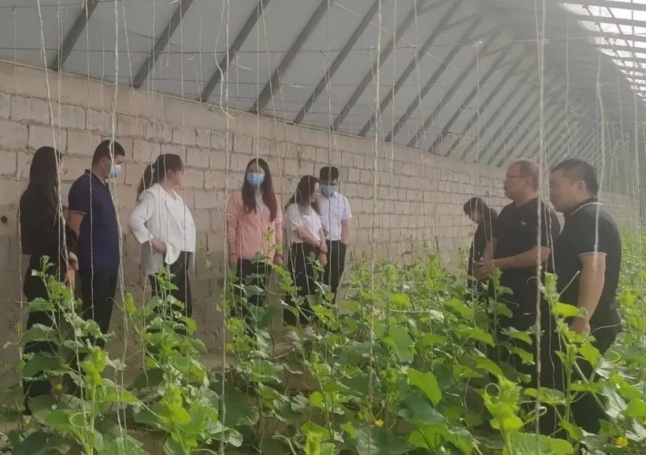 优质回答的经验和思路_优质回答的经验和思路_优质回答的经验和思路