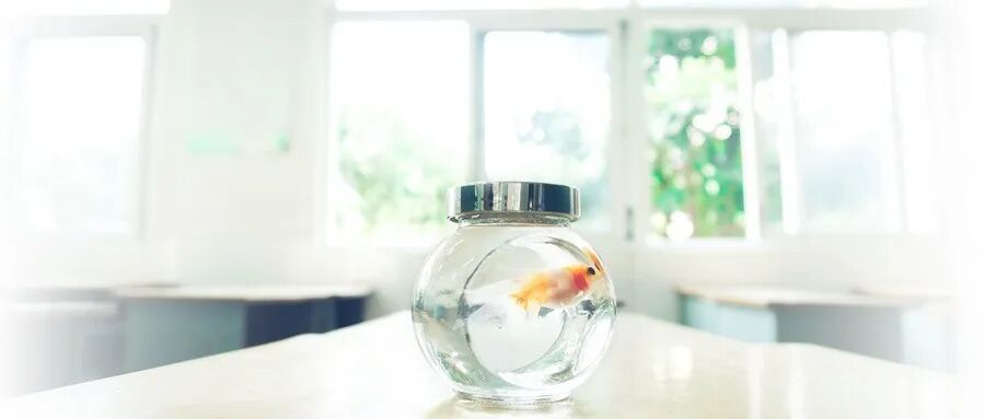 640?wx_fmt=jpeg&tp=webp&wxfrom=5&wx_lazy=1&wx_co=1